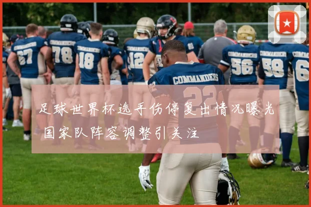 足球世界杯选手伤停复出情况曝光 国家队阵容调整引关注