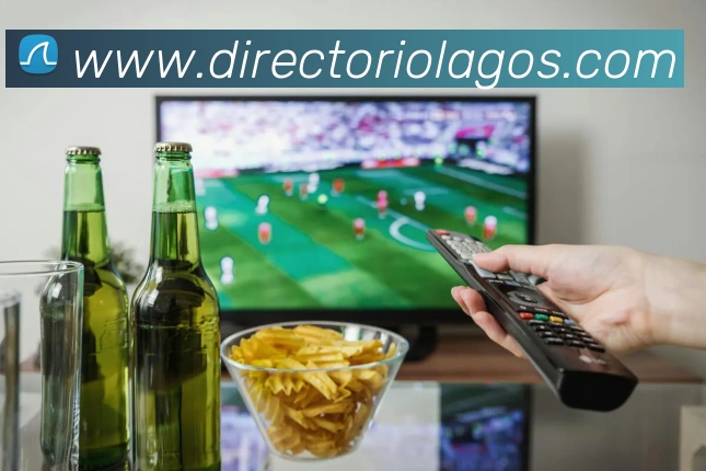 多媒体互动体验